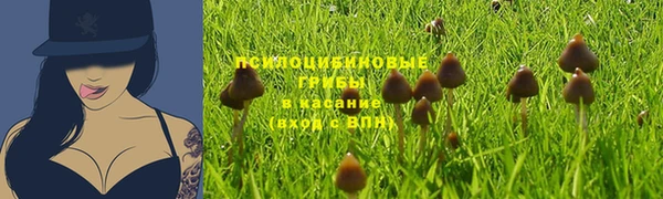 СК Медногорск