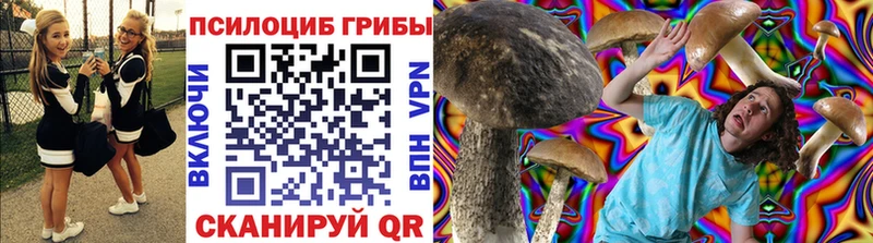 Купить Новотитаровская Псилоцибиновые грибы ЛСД