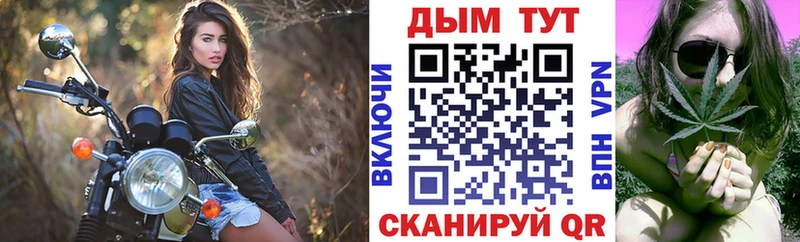 Купить  Новотитаровская  Бошки марихуана планчик 
